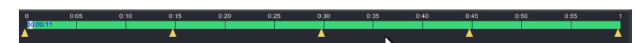 Splice playback time bar showing the recorded video timeline with mark indicators