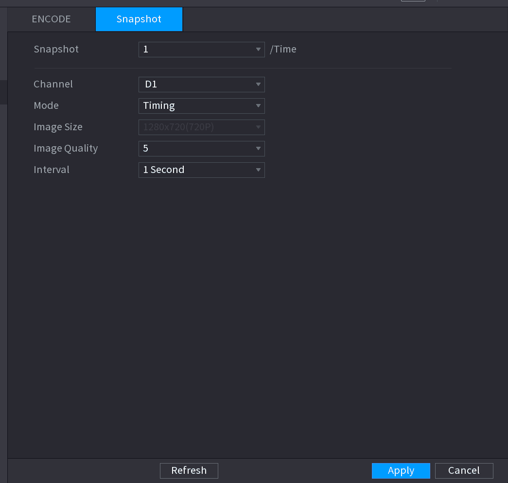 SNAPSHOT interface with Manual Snap, Channel, Mode, Image Size, Image Quality, and Interval settings