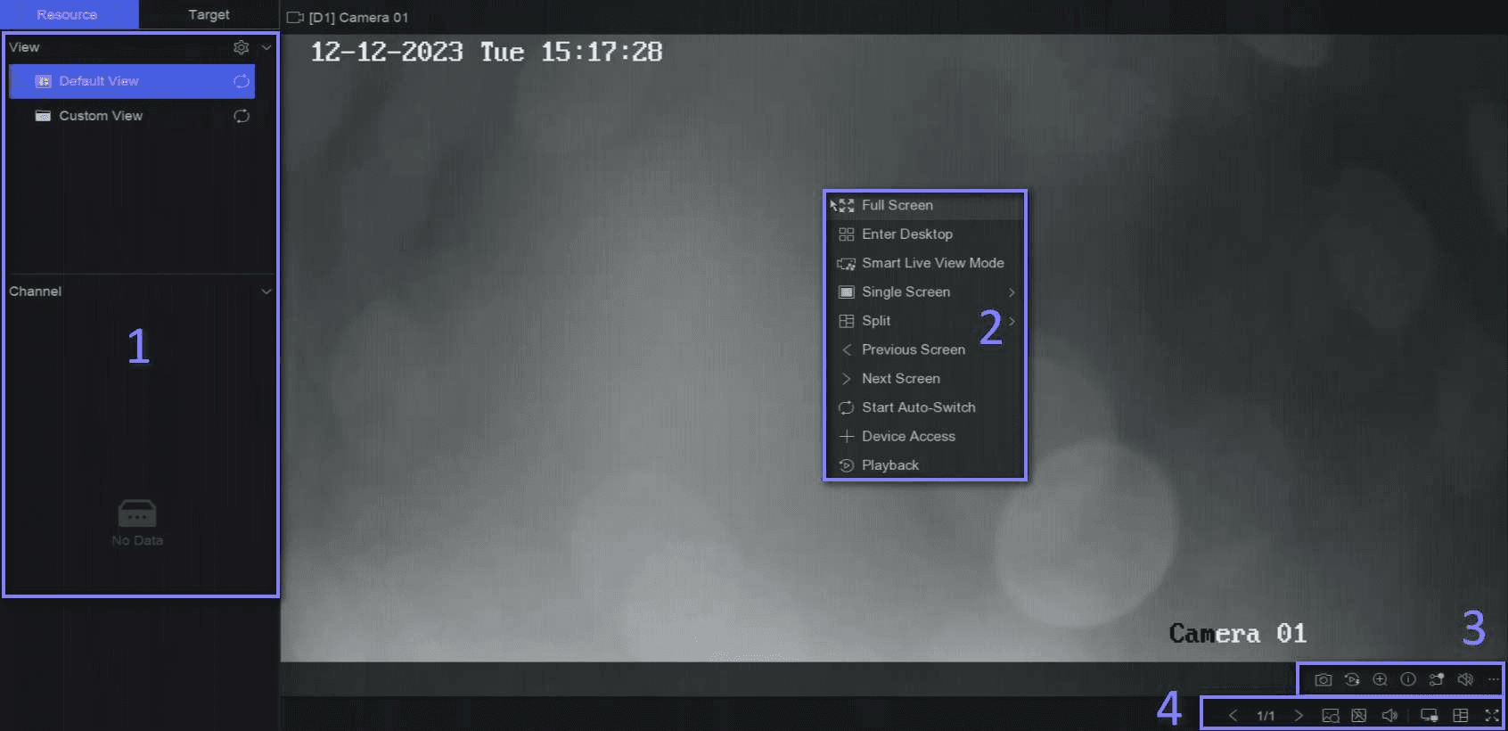 Live View (typ 1)