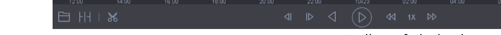 Toolbar of Playback
