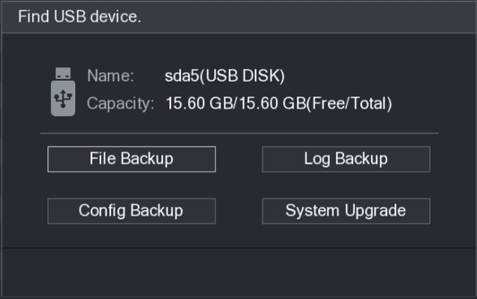 Find USB device dialog showing the detected USB DISK name and capacity with File Backup, Log Backup, Config Backup, and System Upgrade buttons