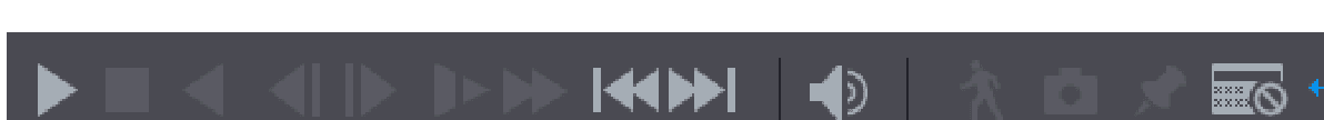 Playback control bar with play/pause, stop, backward play, frame step, slow play, fast forward, volume, smart search, snapshot, mark, and POS/IVS info buttons